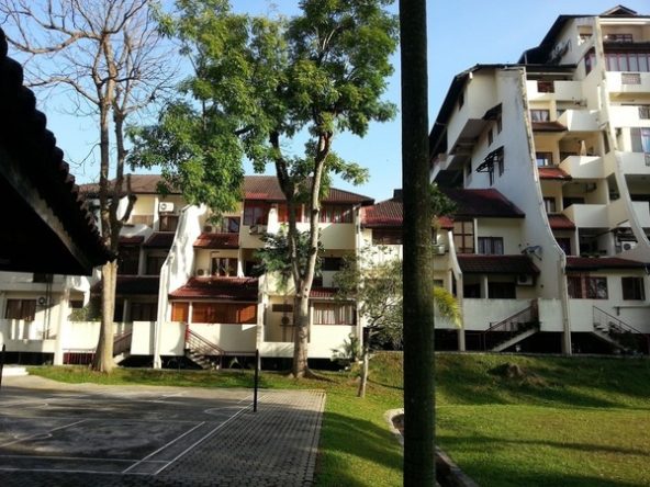 Trellises, TTDI